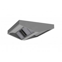 Campana Low central integral